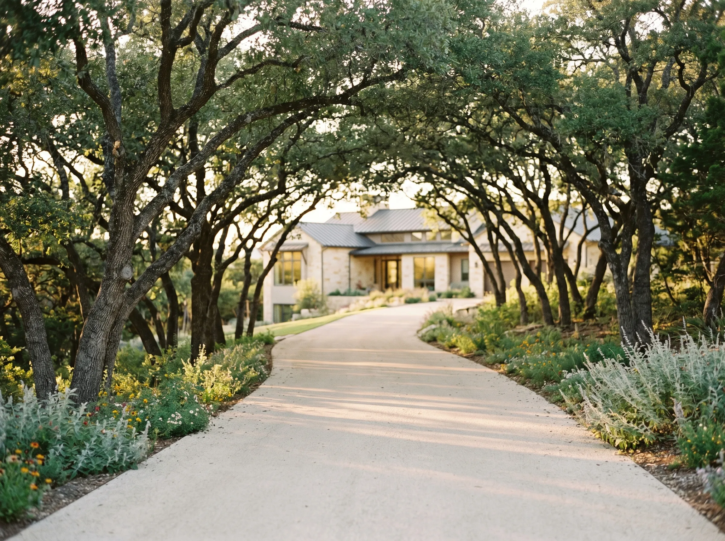 A live-oak-lined private drive approaching a modern Hill Country home in Bee Cave at late golden afternoon, with native wildflowers and silver salvia along the edges and dappled canopy shade across the path.